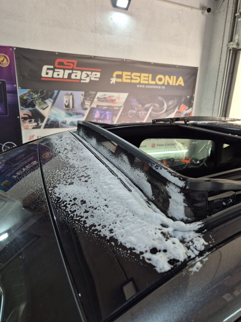 Ford Fiesta mentenanță trapă