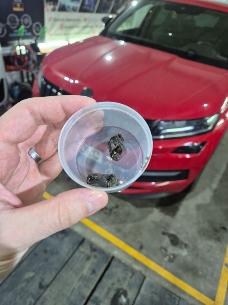 Skoda Kodiaq mentenanță trapă