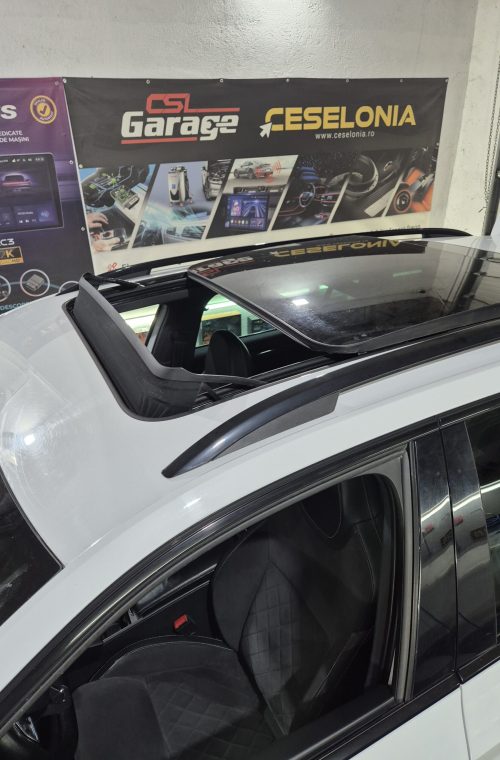 Curățare mecanism trapă auto în service CSL Garage București